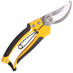 Pruning Shear