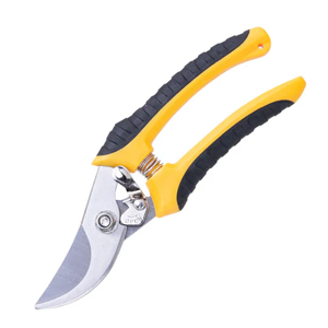 Pruning Shear