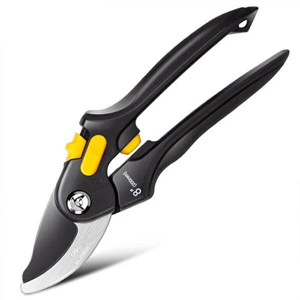 Pruning Shear