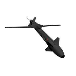 Cruise Missile