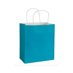 Shopping Bag