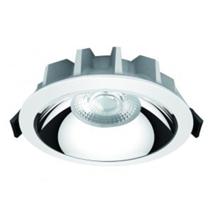 General Purpose Downlight