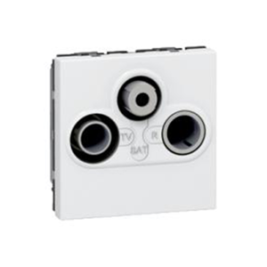 Switch Socket