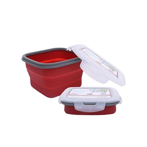 Domestic Food Container