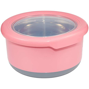 Domestic Food Storage Container