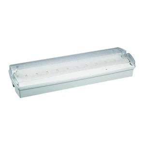 Emergency Light
