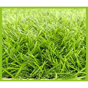 Artificial Turf