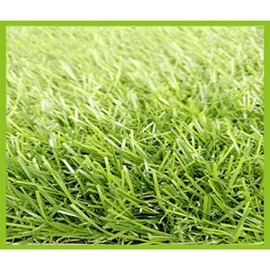 Artificial Turf