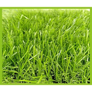 Artificial Turf