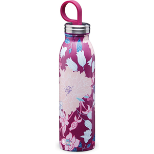 uae/images/productimages/elite-horizon-gen-trdg-llc/water-bottle/aladdin-chilled-thermavac-stainless-steel-water-bottle-0-55l-dahlia-berry.webp