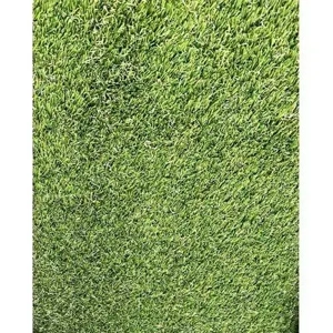 Artificial Turf