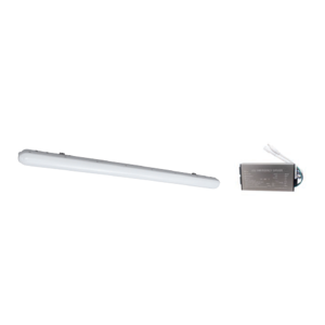Emergency Light