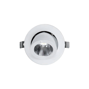 General Purpose Downlight