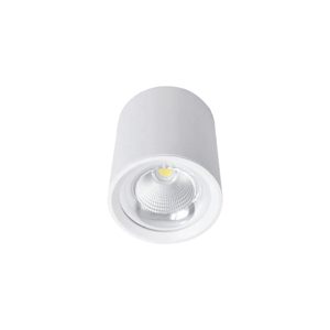 General Purpose Downlight