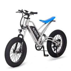 Electric Bicycle