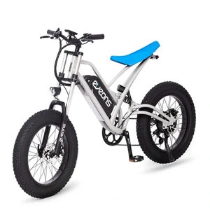 Electric Bicycle