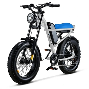 Electric Bicycle