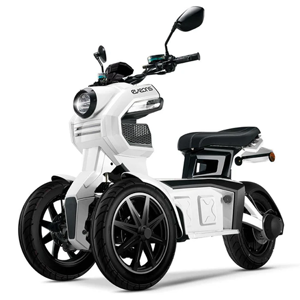 Electric Trike