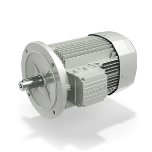 Electric Motor