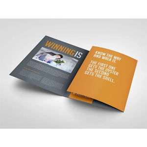 uae/images/productimages/exprint-mart/industrial-printing-service/a4-3-tri-fold-brouchers-a4-3.webp