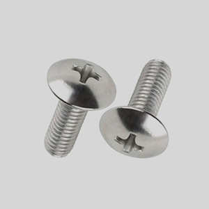 Mushroom Head Screw