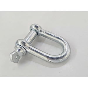 Dee Shackle