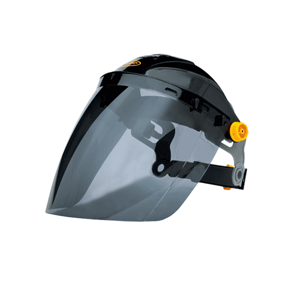 Face Shield