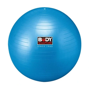 Exercise Ball