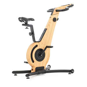 Stationary Bicycle