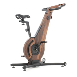 Stationary Bicycle