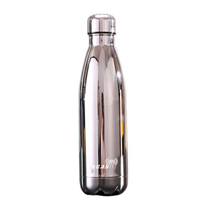 uae/images/productimages/fitness-power-house/water-bottle/beast-fitness-insulated-steel-bottle-bf-bt-slr-silver-500-ml.webp