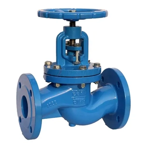 Globe Valve