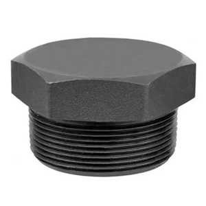 Pipe Plug