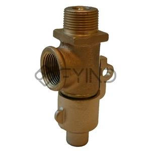 Drain Valve