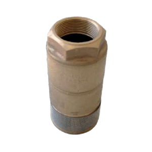 Foot Valve