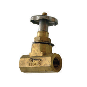 Globe Valve