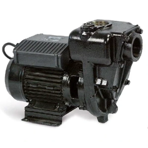 Transfer Pump