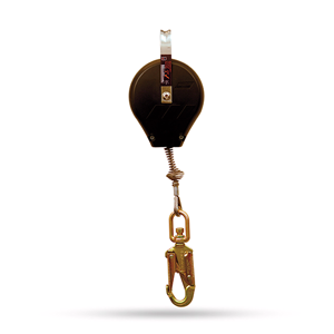 Lanyard