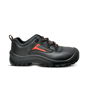 Safety Shoe