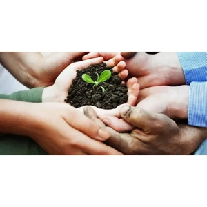 Environmental Sustainability Management Services