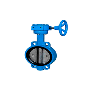 Butterfly Valve