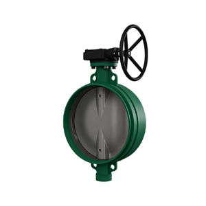 Butterfly Valve