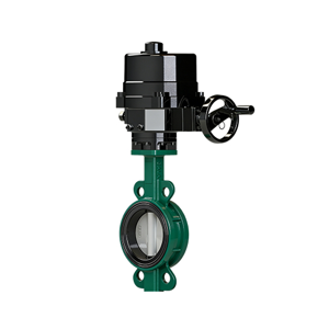 Butterfly Valve