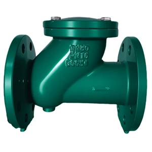 Check Valve