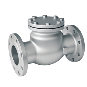 Check Valve