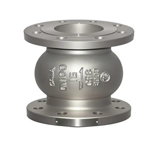 Check Valve