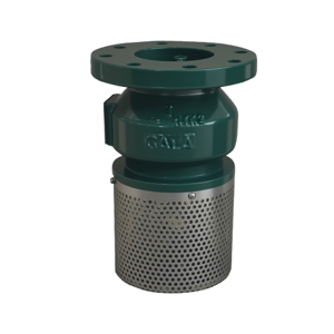 Foot Valve