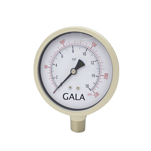 Pressure Gauge