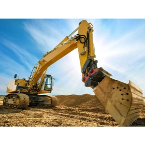 Track Excavator