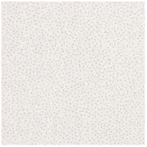 Ceiling Tile